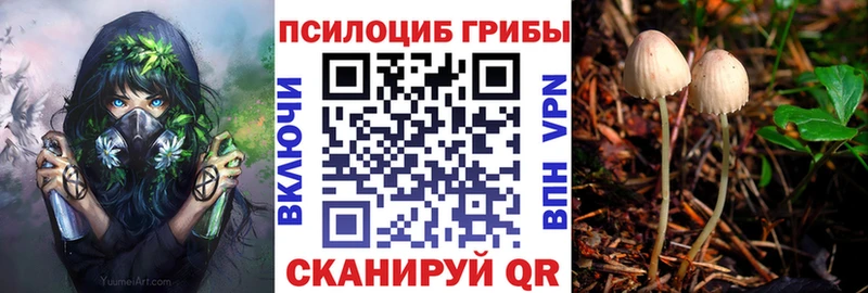 Галлюциногенные грибы мухоморы Заинск