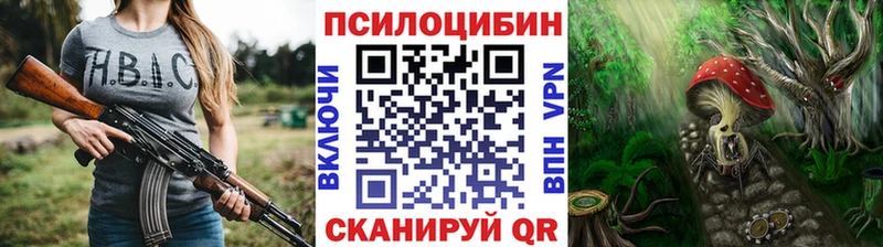купить наркотики сайты  kraken tor  Галлюциногенные грибы Cubensis  Заинск 